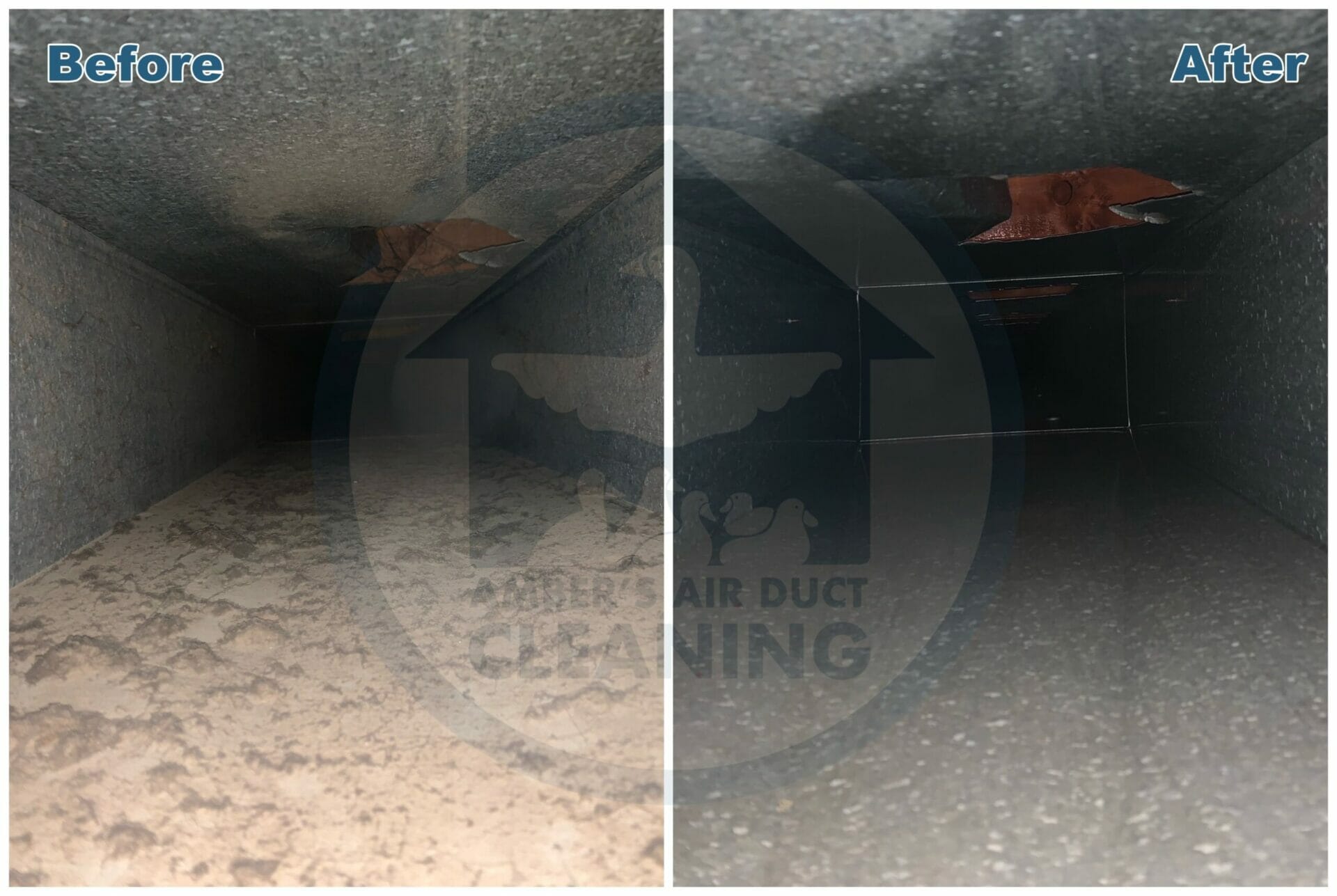 Air Duct Cleaning in Dewitt MI